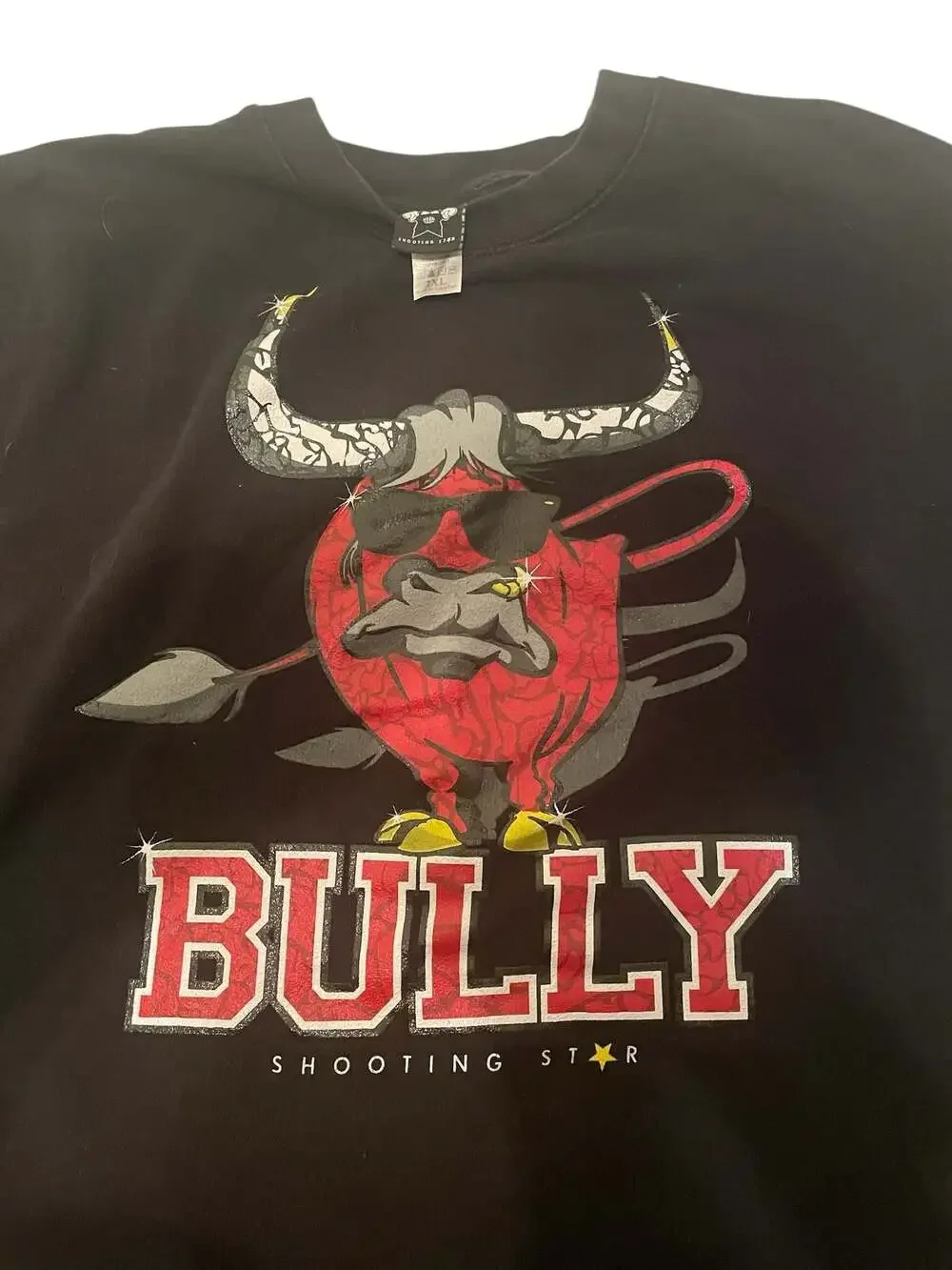Shooting Star Bully Graphic Crewneck Sweatshirt